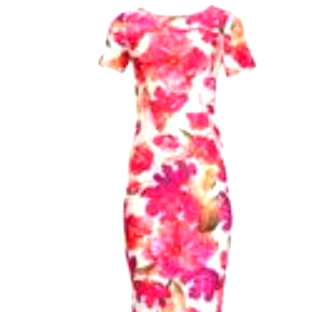 Alexia Admor vibrant floral sheath